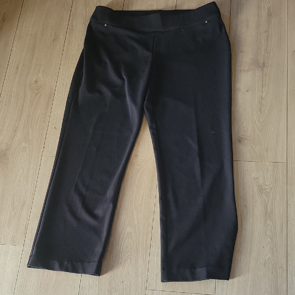 Christopher & Banks Black Cropped Ankle Pants